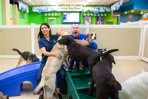 What Does A Dog Daycare Attendant Do