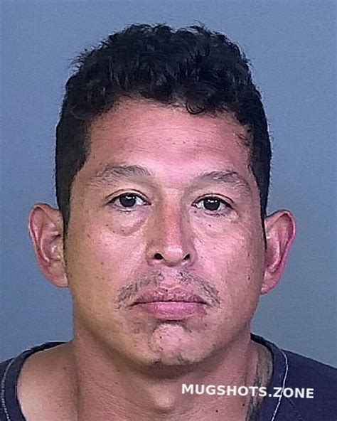 Guerrero Roberto 11122022 Manatee County Mugshots Zone