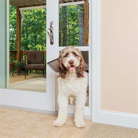 Buy Petsafe 1 Piece Sliding Glass Pet Door Outdoor Access Patio Panel