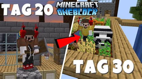 Ich Habe 30 Tage In Minecraft One Block überlebt Und Das Ist Passiert