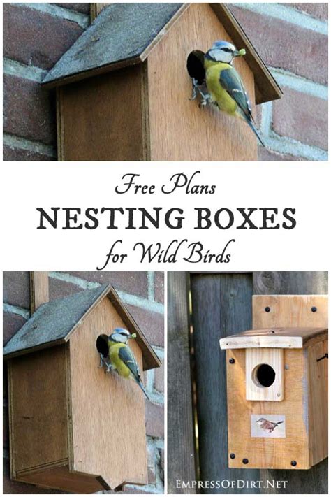 Free Nesting Box Plans For Wild Birds Empress Of Dirt