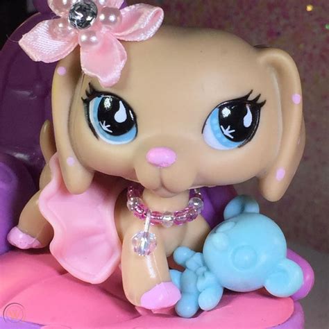 Lps Toys Doll Toys Dolls Little Pet Shop Little Pets Lps Diy