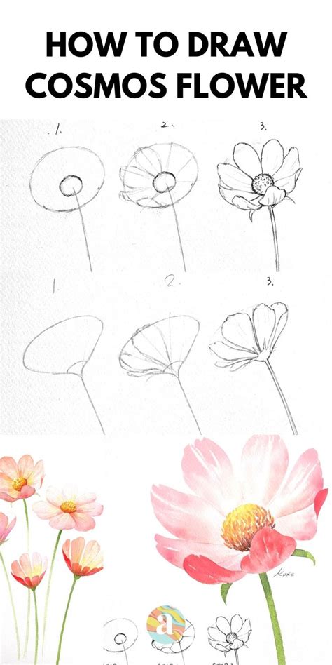 How To Draw A Perfect Flower Step By Step