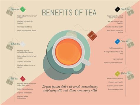 Different Types Teas Their Benefits Royalty Free Images Stock Photos