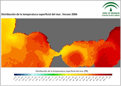 Imágenes de temperatura superficial del mar SST Análisis estacional