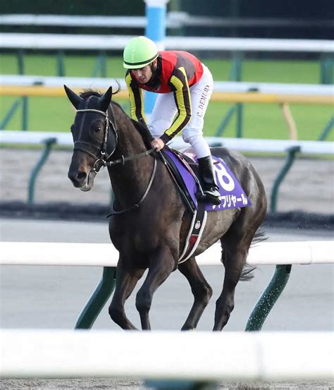 【天皇賞・秋】昨年のダービー馬シャフリヤールは5着 C・デムーロ「休み明けの影響か、反応はジリジリ」 スポニチ競馬web