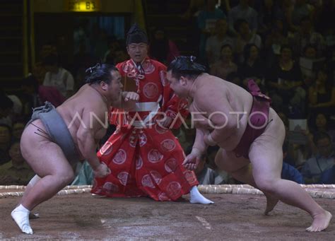 turnamen sumo antara foto