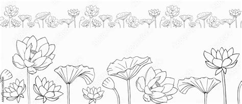 vector seamless border of Lotus flowers and leaves. minimalistic Zen ...