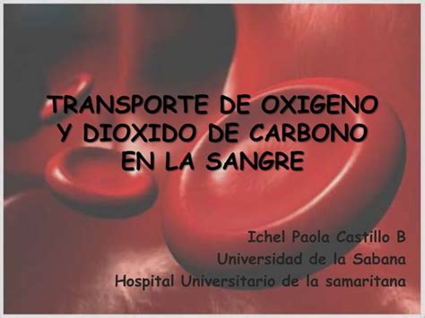 Transporte De Oxigeno Y Dioxido De Carbono En PPT