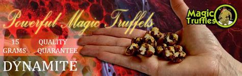 Buy Magic Truffles Dynamite An Explosion Of Sensations