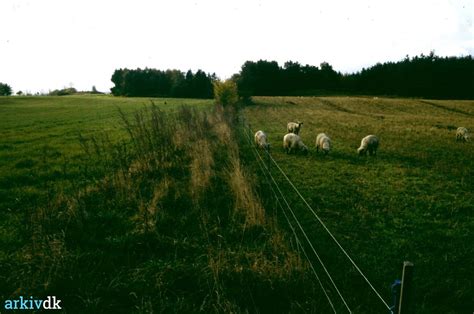 Arkiv Dk Udsigt Fra Slagslunde Skov Mod Kratvej Mod S 1991