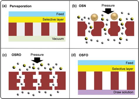 Schematic Illustration Of Four Typical Membrane Separation Processes