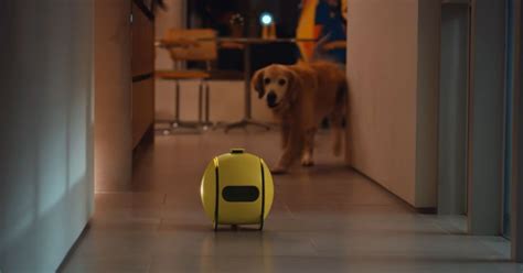 Samsung Ballie is a home bot hub with a built-in projector | Digital Trends