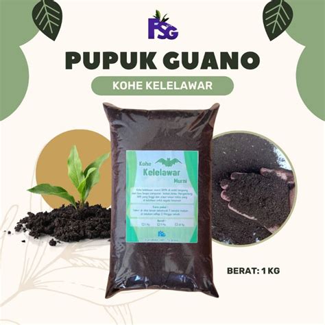 Jual Pupuk Guano Organik Kohe Kelelawar Murni 1 Kg Siap Diaplikasikan