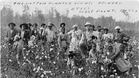 Southern Colonies Plantations And Slavery