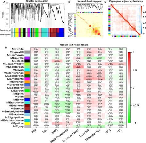 Frontiers High Expression Of The Sh Tc Dt Sh Tc Gene Pair