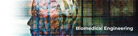 Introduction Biomedical Engineering Research Guides At Singapore