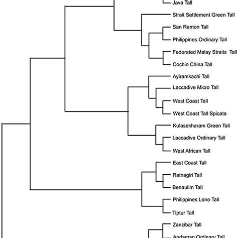 Upgma Cluster Phenogram Showing The Genetic Relationships Among The