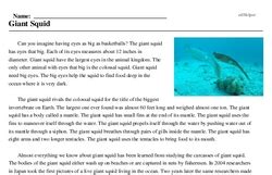 Giant Squid Reading Comprehension Worksheet Edhelper