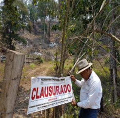 Clausura Profepa Aprovechamiento Forestal Ilegal En Atoyac De Alvarez