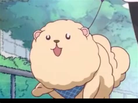 Best Girl Sumi Dog Rkanojookarishimasu