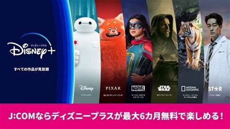 ディズニープラスのお得な入会方法7選！実質無料で見放題を楽しもう