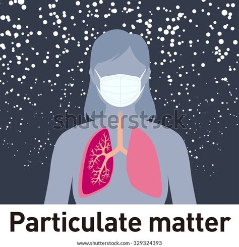 Particulate Matter Face Mask Pm25 Image Stock Vector (Royalty Free) 329324393