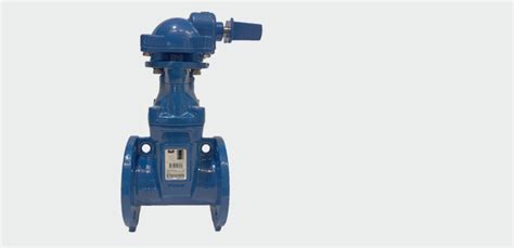 Avk Series 570 With 758 Gearbox Gate Valve Avk Flow Control Pty Ltd