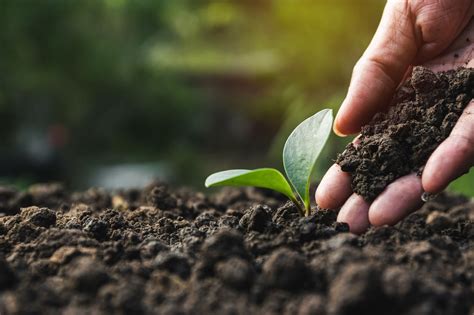 Duurzaam Tuinieren Koop Turfvrije Potgrond Natuurmonumenten