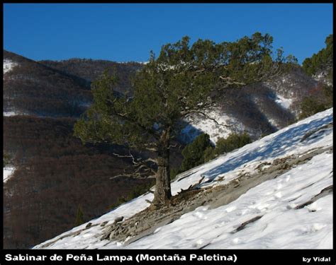 MontaÑas A Esgalla 5 Diciembre 2008 Ascensión A PeÑa Lampa