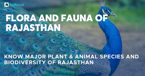 Flora And Fauna Of Rajasthan Know Biodiversity Of Rajasthan