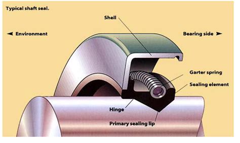 Tight Lipped Understanding Lip Seals Farm Machinery Digest