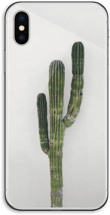 Download Mexican Cactus Iphone Xs Full Size Png Image Pngkit