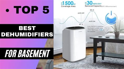 Best Dehumidifiers For Basement In 2021 Top 5 Best Dehumidifiers For Basement