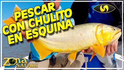 CÓMO SACAR el ANZUELO a una RAYA Pesca en Esquina YouTube