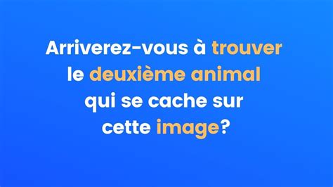 Énigme du jour Seuls les plus observateurs trouveront le deuxième