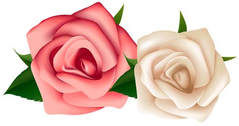 Clipart De Rosas Para Montagens Digitais Cantinho Do Blog