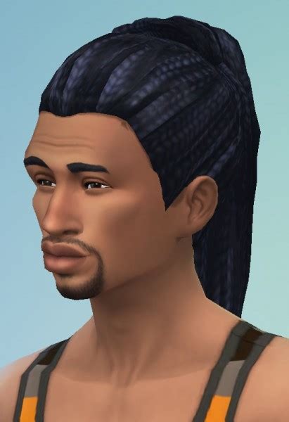 Sims 4 Long Braid Hair Male Awarejes