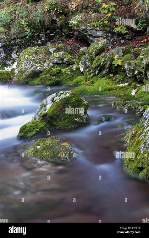 Waterscape Green Hi Res Stock Photography And Images Alamy