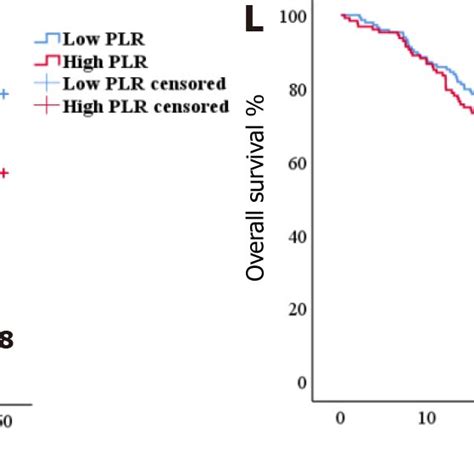 Survival Curve Analyses Based On The Systemic Immune Inflammation Index