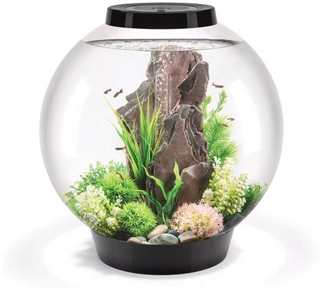 Biorb Classic L Led Aquarium Gallon Qvc