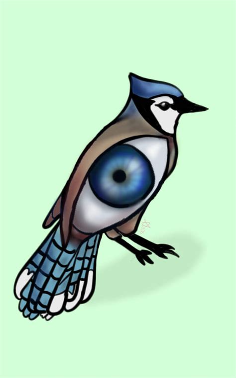 Birds Eye View Drawing Free Download On Clipartmag