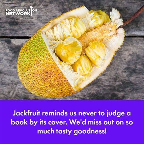 What Is Jackfruit Everything You Need To Know About This Odd Yet