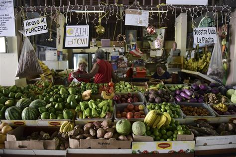 Puerto Rico Experiences An Agricultural Renaissance Nbc News