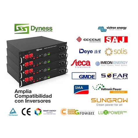 Batteria Litio Ferro Fosfato LiFePO4 Dyness 2 4 KWh 48V Dyness B4850