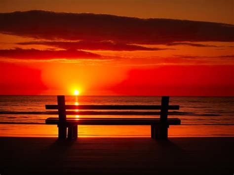 Premium AI Image | Wooden bench on the beach at sunset