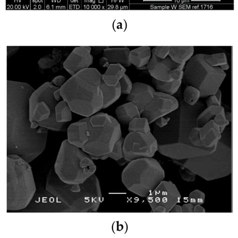 Scanning electron micrographs of (a) tungsten, (b) tungsten oxide and ...