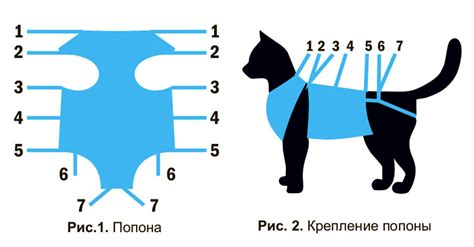 Попона для кошки: как сшить и носить после стерилизации - Mimer.ru