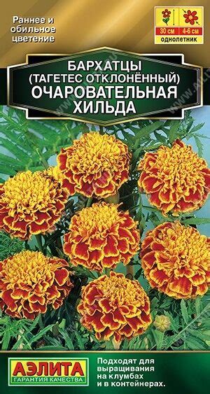 Семена Бархатцы Очаровательная Хильда отклоненные Ц/П