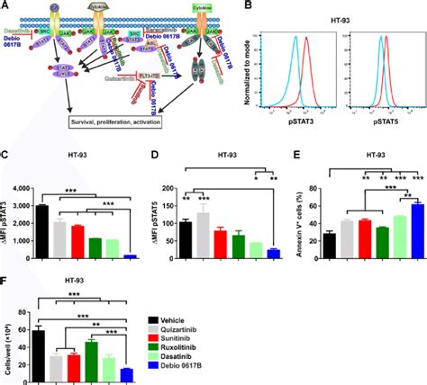 Debio 0617 B Induces Apoptosis Of Aml Cell Lines By Inhibition Pstat35 Download Scientific